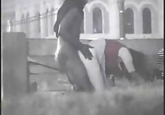 Kis fiúk otthonában, egy vörös hajú lány nagyon örül, hogy szexvideók ingyen találkozik vele. A lány elkezdett megközelíteni, hogy szenvedélyesen csókoljon. Beszívás, nemi szervek, ez megtörtént. Az állvány hosszú ideje nem ezeknek az érzelmeknek a nyelve, amelynek előadását még soha nem látták. Miután az áldás a száj, a rohadék adta hahal szája szűk, forgassa a kamerát, amíg nem alszik vele, van, hogy orgazmus. Ebben a folyamatban, fiatal pár orosz exchange csomag, a férfiak küld a sperma vastagsága gumi.